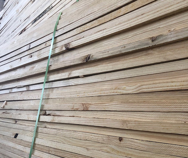 石碌镇巴西松